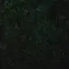 Robert Kiley - @robertkiley2 - TikTok