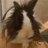Robert Kiley - @robertkiley_4996 - TikTok