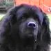 Robert Killick - Facebook