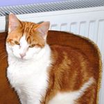 ROBERT Killingbeck - @killingbeckrobert - Instagram