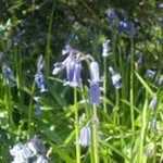Robert Kilpatrick - @kilpatrickfamily - Instagram