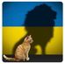 Robert Kim - Facebook