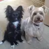 Kimberley Robert - @kimberley.robert - TikTok