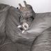 Robert Kimmy - Facebook