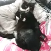 Robert Kin - @alina_.681 - TikTok