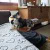 robertkienberger - @robertkienberger - TikTok