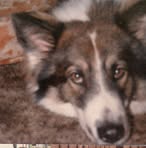 Robert Kincheloe - Facebook