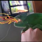 Robert Kindle - @charmeleon_collects - Instagram