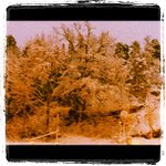 Robert Kindle - @playhutil - Instagram