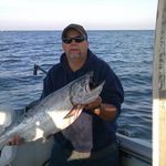 Robert Kittell - @robertkittell - Instagram