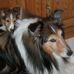 Robert J. Klabunde - Facebook