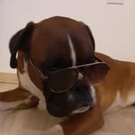 Robert Klaric - @robert.klaric.754 - Instagram