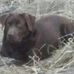 Robert Klingenberg - Facebook