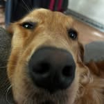 RJ Klinger - @robert_klinger - Instagram