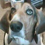 Robert Klinger - @robertklinger62 - Instagram