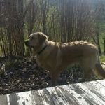Robert Klinger - @klinger1007 - Instagram
