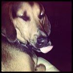 Robert Knackstedt - @robertknackstedt - Instagram