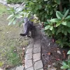 Robin Knauer - @robinknauer09 - TikTok
