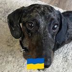 Robert Knick - @robert.knick.7 - Instagram