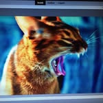 Robert Knief - @robertknief - Instagram