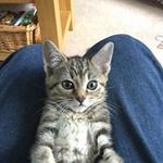 Robert Knights - @robert.knights - Instagram