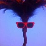 Robert Knorr - @robertk6969 - Instagram