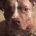 Robert Knupp - Facebook