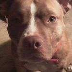 Robert Knupp - @knupprobert - Instagram