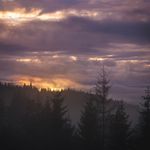 Robert Bolsønes Knutsen - @robertbknutsenphoto - Instagram