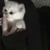 RobertKnutsen - @joelfdus1de - TikTok