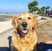 Robert Kolenko - Facebook