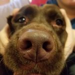 Robert Kolker - @kolkerrobert - Instagram