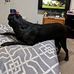 Robert Kolker - Facebook