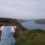Robert Konarski - @mrratbit - Instagram