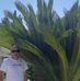 Robert Konopski - Facebook