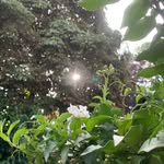 Robert Koonce - @shakihmucza - Instagram