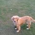 Robert Kosiba - Facebook