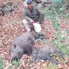 Robert Graskoski - @robertgraskoski - TikTok