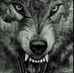 Robert Kostecki - Facebook