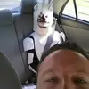 Robert J Koster - @rkoster72 - TikTok