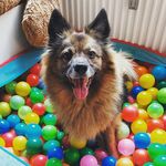 Robert Köster - @robert.koester1 - Instagram