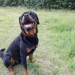 Robert Koster - @robert.koster.5688 - Instagram