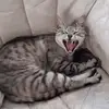 robertkotowski248 - @robertkotowski248 - TikTok