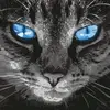 robertkotowski5 - @robertkotowski5 - TikTok