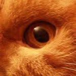 Robert Koza - @robet_koza - Instagram