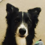 ROBERT KOZA - @robertkoza36 - Instagram