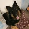 Robert koza - @robertkoza25 - TikTok
