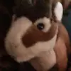 Robert Koza - @robertkoza47 - TikTok
