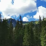 Robert Koza - @robert.koza.3517 - Instagram