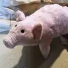 Robertkoza 51 - @robertkoza51 - TikTok